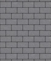 Тротуарная плитка Прямоугольник 200х100х40 мм, гранит, серый