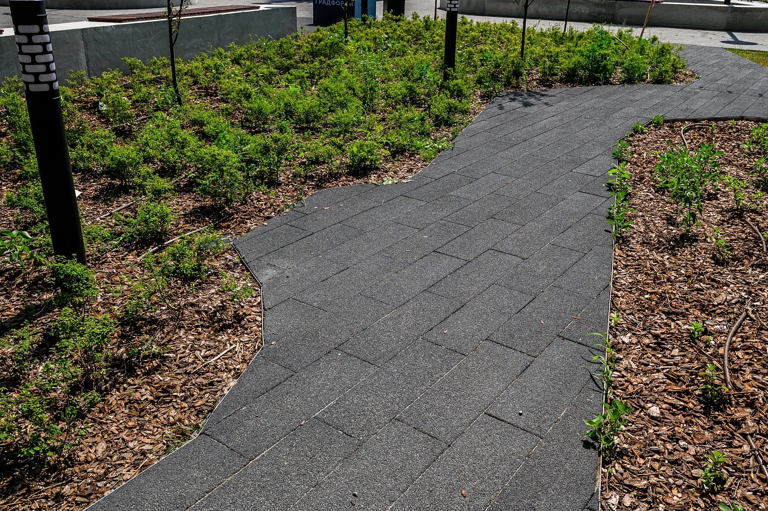 Сквер с историей географов открыли по улице Дзержинского в Тюмени