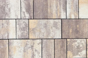 Купите тротуарную плитку Б.1.Фсм.6 - Доломит (бело-бежево-темнокоричневый)