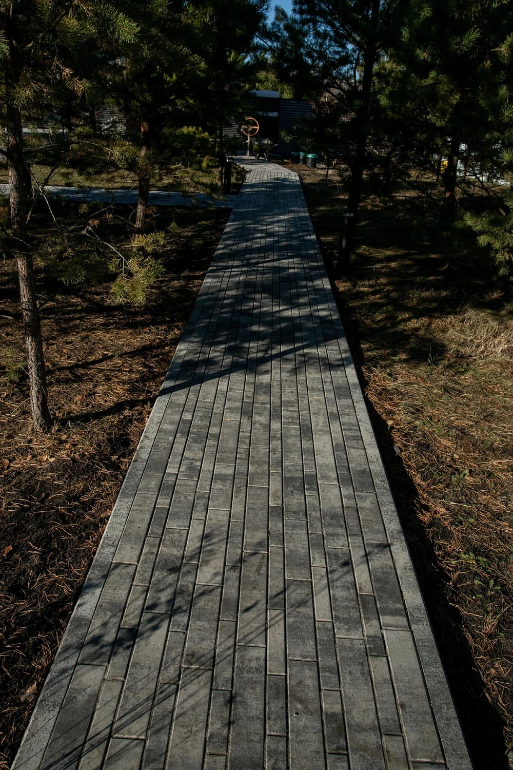 Ландшафтный дизайн в Тюмени с плиткой Ригель, Трио, 300х900 мм