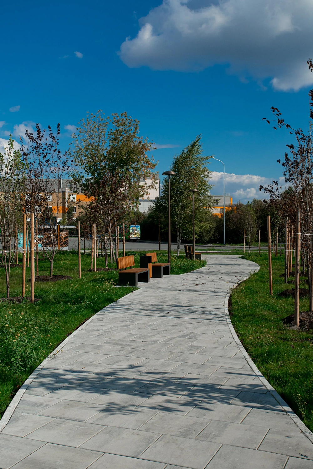 Сквер Медицинских работников в Тюмени