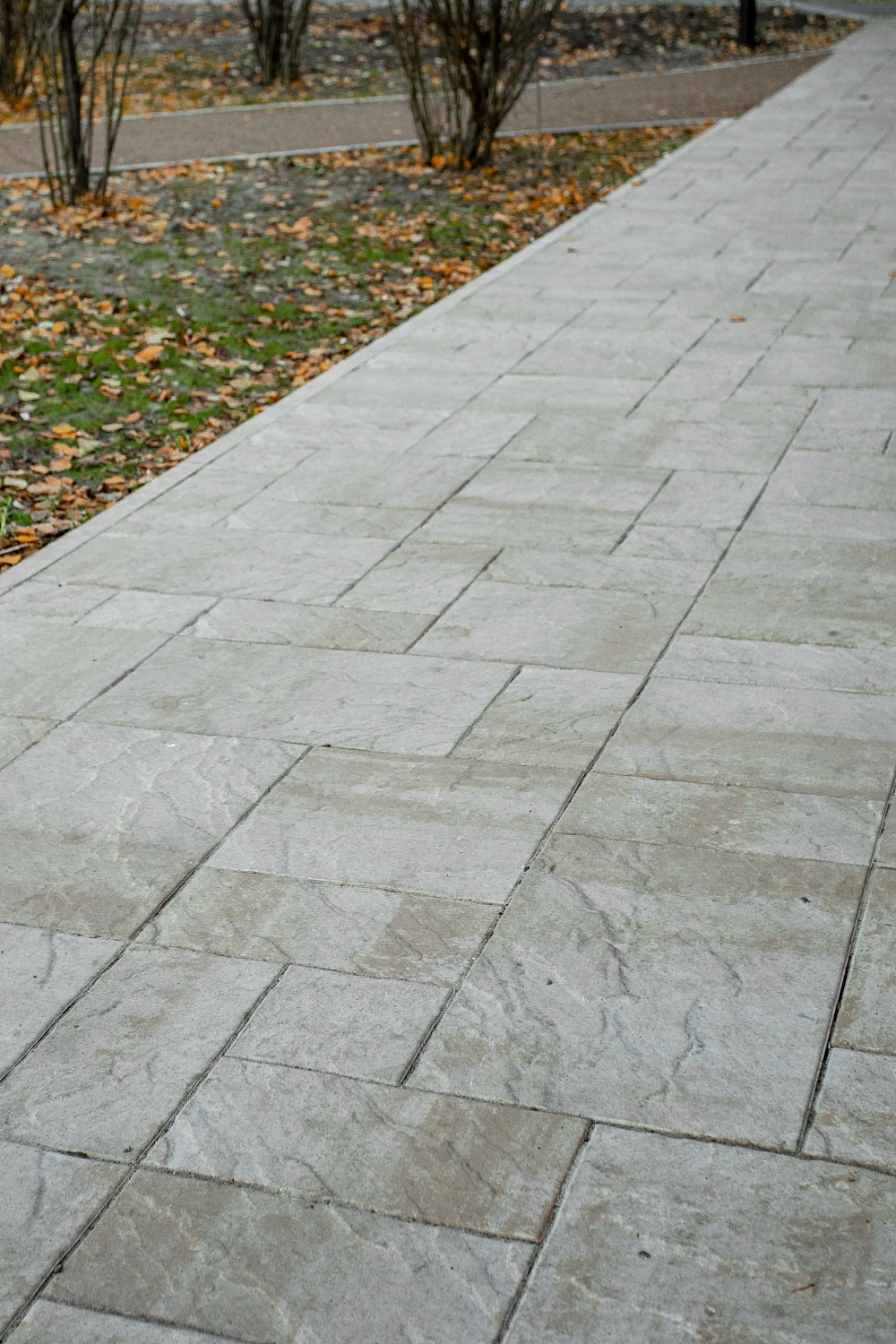 Сквер Отрядов мэра в Тюмени